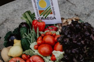 El 62% de los gallegos ya consumen algún alimento ecológico