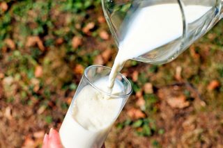 Últimas novedades sobre el mercado internacional de productos lácteos