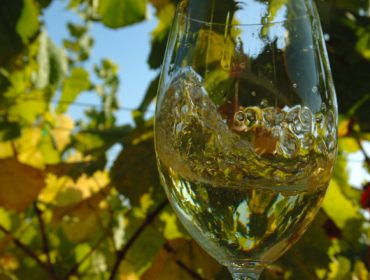 Las cifras de los vinos blancos en España: consumo, exportaciones y perspectivas
