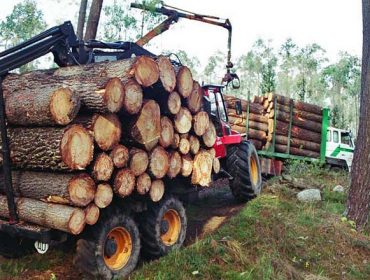 Los propietarios forestales de Galicia aumentan su facturación un 29 % en el año 2021