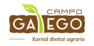  logotipo Campo Galego
