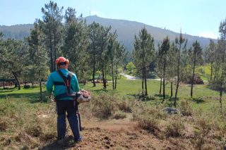 La Xunta actuará en 5.500 hectáreas de monte y 2.200 kilómetros de pistas para prevenir fuegos
