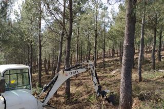 Se activa desde hoy la tramitación electrónica para las agrupaciones forestales de gestión conjunta y los silvicultores activos