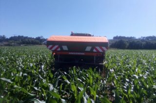 Galicia queda claramente discriminada en el reparto de ayudas del Gobierno a los productores para la compra de fertilizantes