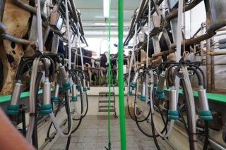 Los precios de la leche siguen subiendo por la bajada de la producción y la ‘guerra’ entre industrias