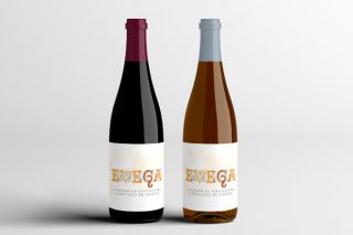 Presentada la nueva cosecha de vino de la EVEGA, elaborado con variedades autóctonas gallegas