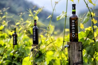 Webinar sobre uso de levaduras autóctonas para diferenciar los vinos del Ribeiro