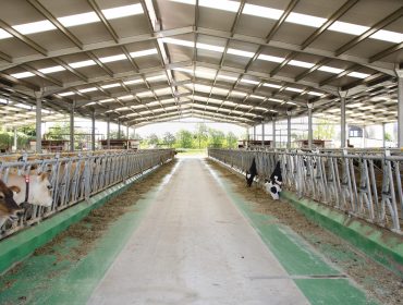La industria láctea prevé una Galicia con la mitad de granjas y más producción de aquí a diez años