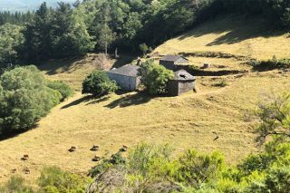 La Cornisa Cantábrica y Galicia concentran el abandono de tierras de cultivo en España