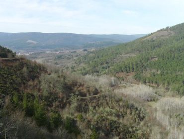 Mondariz acoge unas jornadas sobre gestión sostenible de montes vecinales y proyectos de absorción de carbono