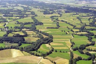 ¿Precisas tierras para tu explotación agrícola o ganadera? Presenta aquí tu proyecto
