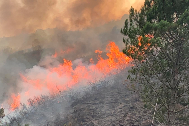 La Xunta crea un equipo multidisciplinar especializado en grandes incendios forestales