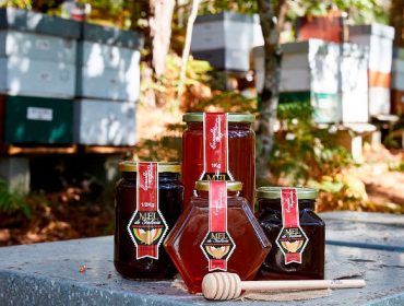 Cambios en la IGP Miel de Galicia: Se incorpora la categoría “Miel de Bosque” y baja el porcentaje para la miel de brezo