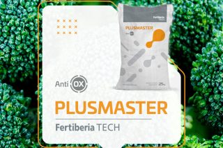 Plusmaster, una solución para combatir el estrés de los cultivos