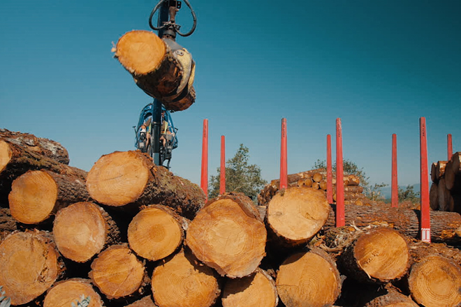  La facturación de la cadena forestal-madera de Galicia rondará este año los 2700 millones de euros