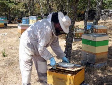 Curso de iniciación a la apicultura en A Pobra do Caramiñal