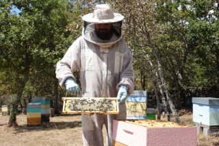 “Cuando eché la vista al campo, vi que la apicultura era de lo más modular que había para emprender”