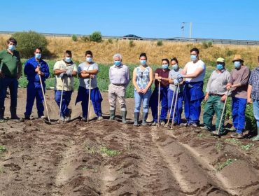 El Centro de Desarrollo Agroganadero de A Limia impartirá los certificados de profesionalidad en agricultura
