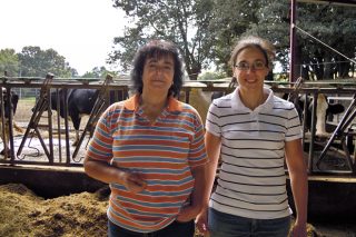 San Martiño SL, relevo en feminino en una ganadería que ordeña 235 vacas