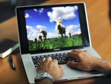 Dos cursos en Lugo sobre los aspectos básicos de manejo de la oficina virtual de ganadería