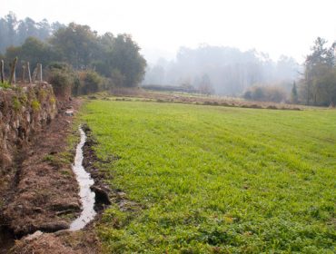 ¿Cómo se gestiona el agua en los sistemas de riego tradicionales gallegos?