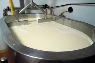 Curso gratuito la próxima semana en Betanzos de elaboración de quesos y derivados lácteos