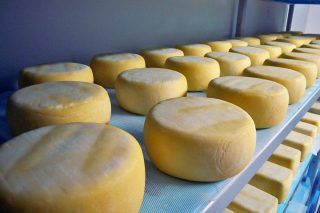 El año empieza con excedentes de producto en las queserías gallegas