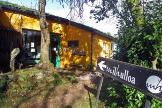 Milhulloa, 20 años recuperando las plantas medicinales gallegas