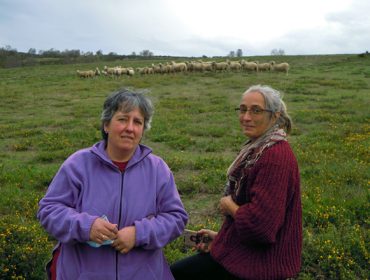 SAT Salgueiriña, una explotación mixta de cabras y ovejas para cuidar del monte comunal
