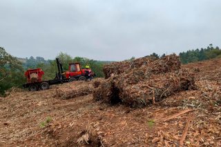 ‘Sure’: una nueva certificación para la biomasa