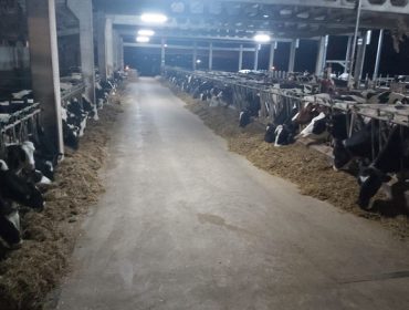 Oferta de empleo en una ganadería de leche de O Páramo