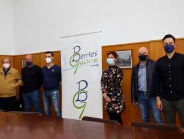Presentan la asociación de productores Berries Galicia