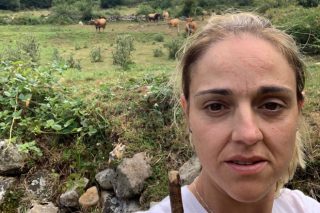 Campaña de apoyo a la ganadera asturiana a la que le envenenaron un toro