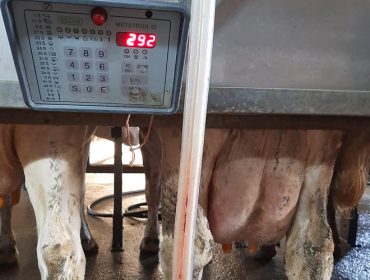 Claves para reducir el coste de producir un litro de leche en las granjas gallegas