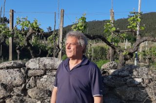 “El sector del vino gallego cojea en viticultura, en conocer y cuidar los suelos de la viña”