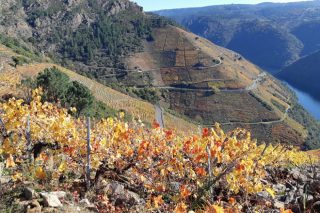 Jornada sobre vinos de parcela y el ejemplo del Priorato