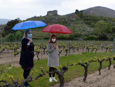 La DO Monterrei propone crear un centro vitivinícola orientado al enoturismo