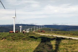 ¿Qué factores pueden frenar la instalación de un parque eólico en Galicia?