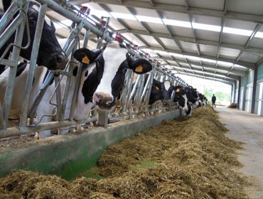 «La subida del precio de la leche la bloquean los supermercados»
