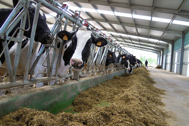 Medir y reducir las emisiones, los nuevos horizontes de la ganadería de vacuno de leche