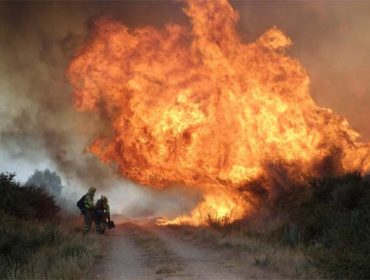 El 87% de la superficie forestal quemada es monte raso, sin arbolado