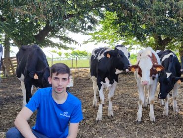 «Feiradeza será el primer certamen de ganado frisón que se celebra en Galicia tras el inicio de la pandemia»