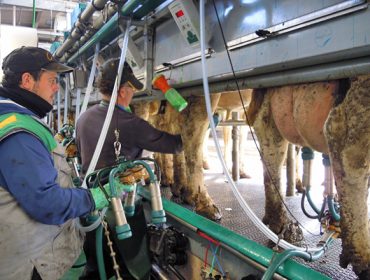 “La escasez de producción de leche para atender la demanda mundial va a ser la nueva normalidad»