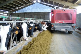 Curso en Monforte sobre alimentación en ganaderías intensivas