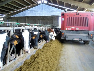 Así les está afectando la subida del pienso a las granjas de vacuno de leche: «Lo peor está por llegar»