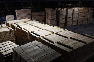 La ‘fiebre’ de la madera: cómo afronta Galicia la nueva burbuja global