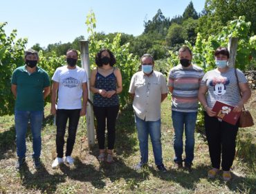 Se ofrece formación para personas que se quieran incorporar a la viticultura en las Terras do Navia
