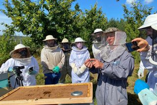 Cría de reinas, la experiencia del reconocido apicultor francés Gilles Fert