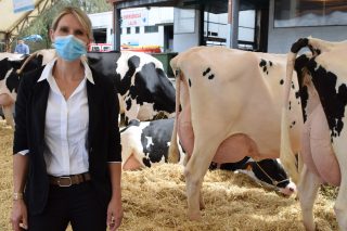 «Las vacas gallegas tienen calidad para participar en cualquier certamen europeo»