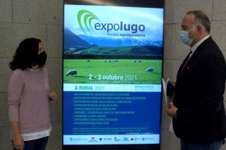 Las razas autóctonas gallegas, protagonistas este fin de semana de ExpoLugo 2021 A Rural